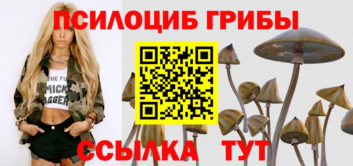 Псилоцибиновые грибы прущие грибы  Псилоцибиновые грибы GOLDEN TEACHER  Элиста  Вход с VPN 