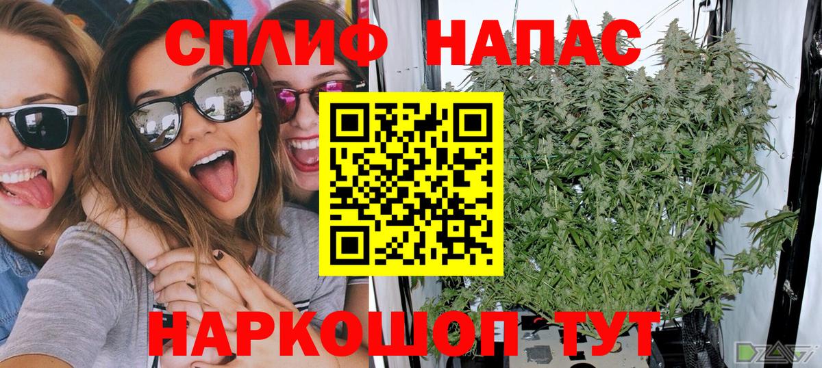 МАРИХУАНА индика  Вход с VPN  Шишки марихуана LSD WEED  Элиста  Конопля ГИДРОПОН 